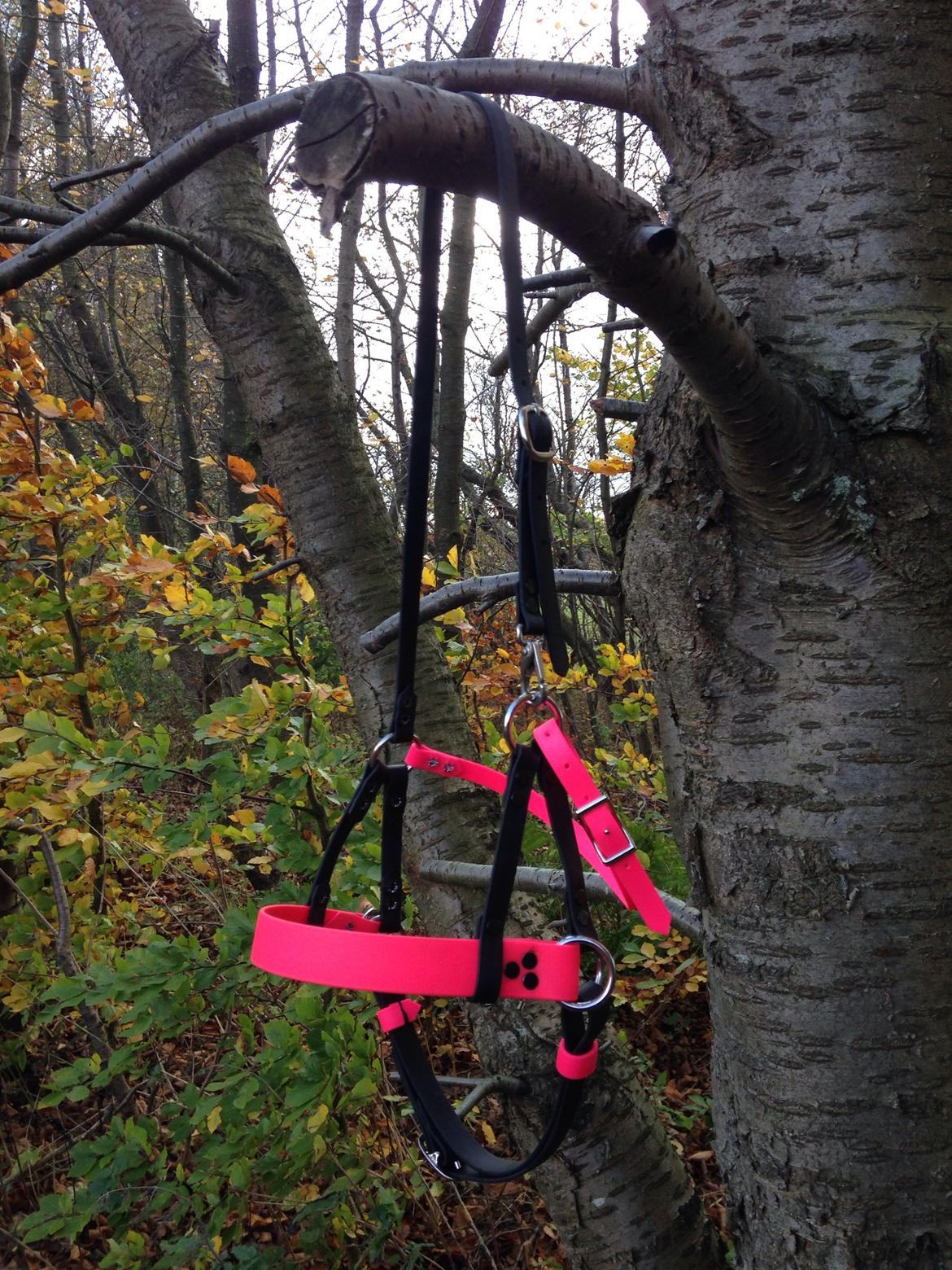 Mit Biothan udstyr billede 1