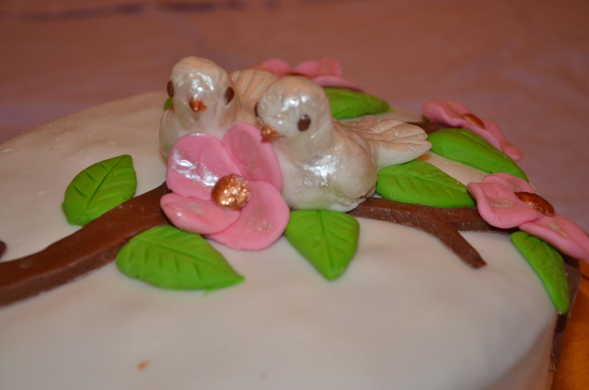 Kager - Kage til "bagedyst" på mit job. billede 21