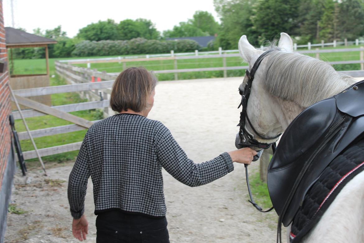 billeder af sibo røv :) billede 4