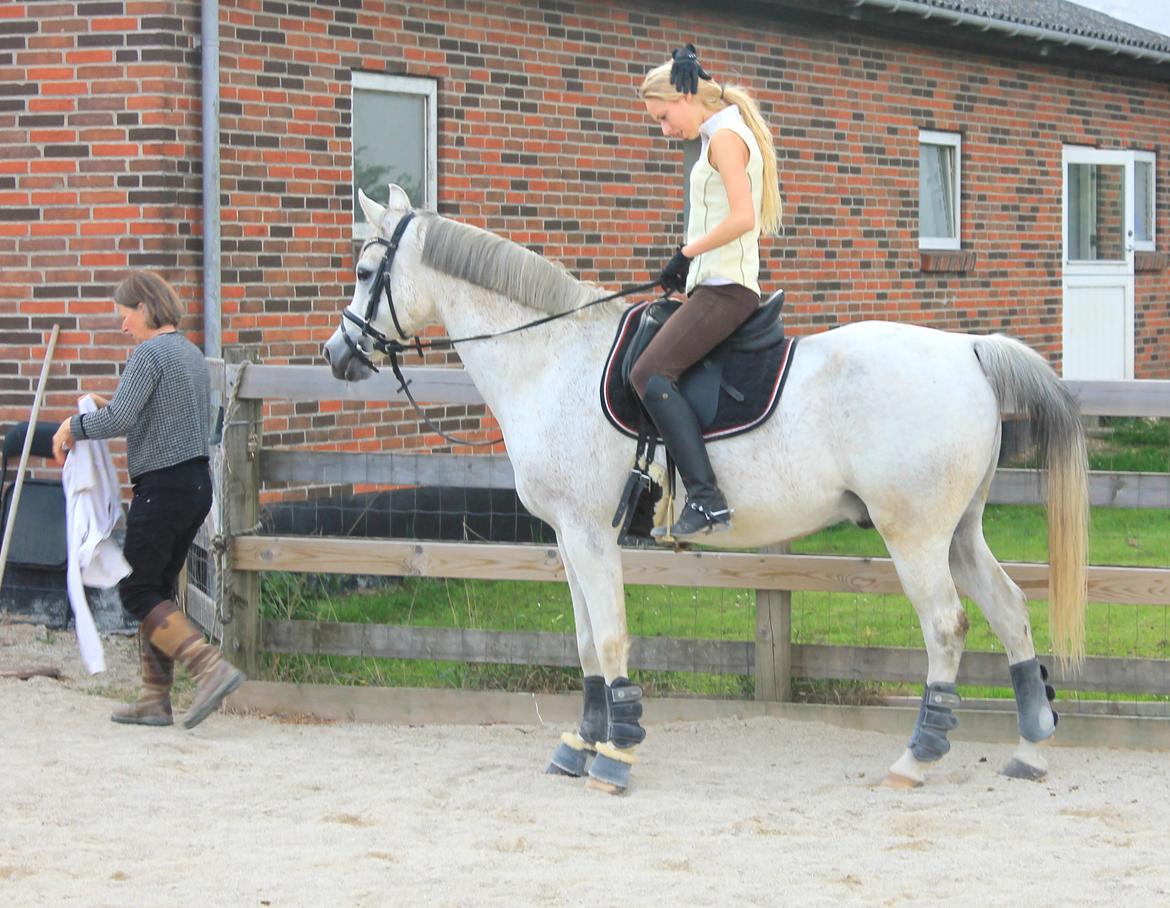 billeder af sibo røv :) billede 5