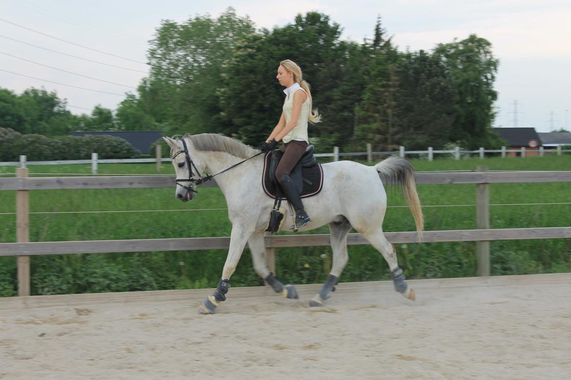 billeder af sibo røv :) billede 6