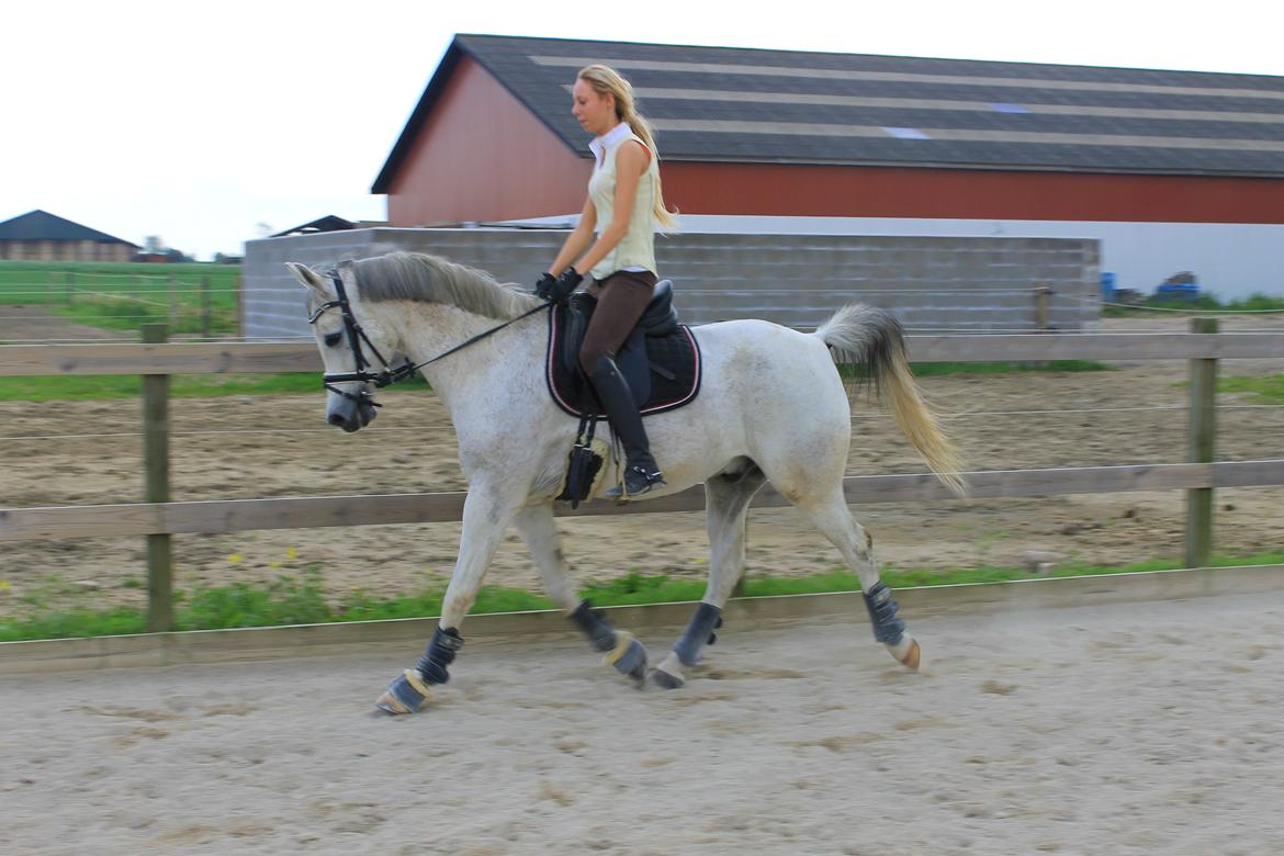 billeder af sibo røv :) billede 7