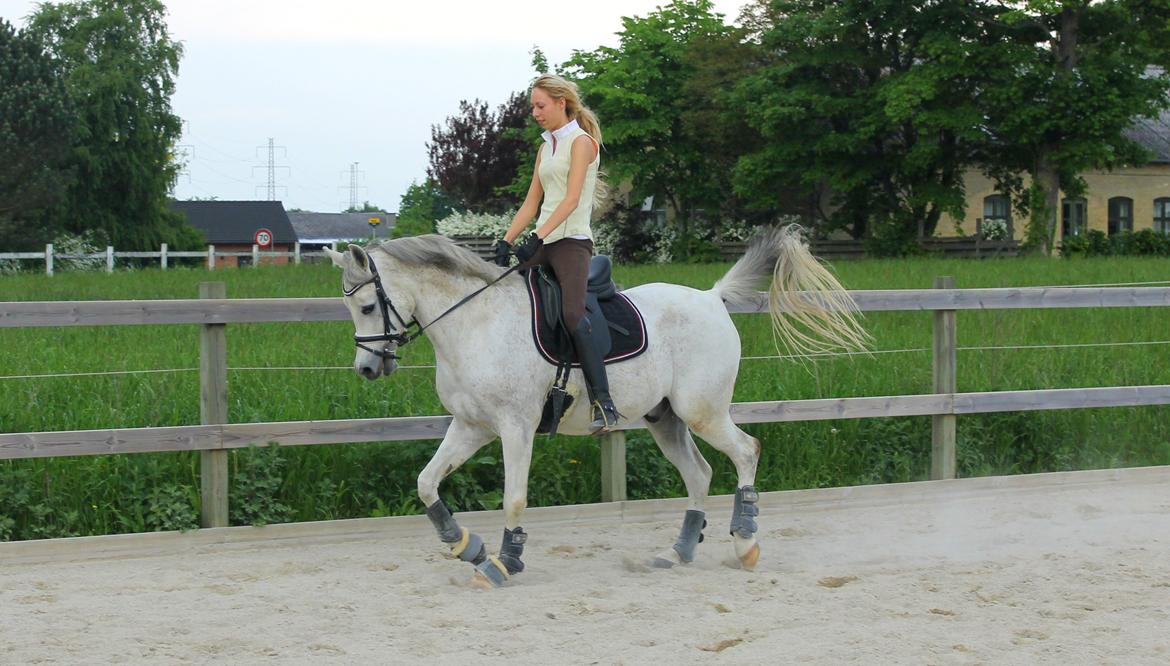 billeder af sibo røv :) billede 8