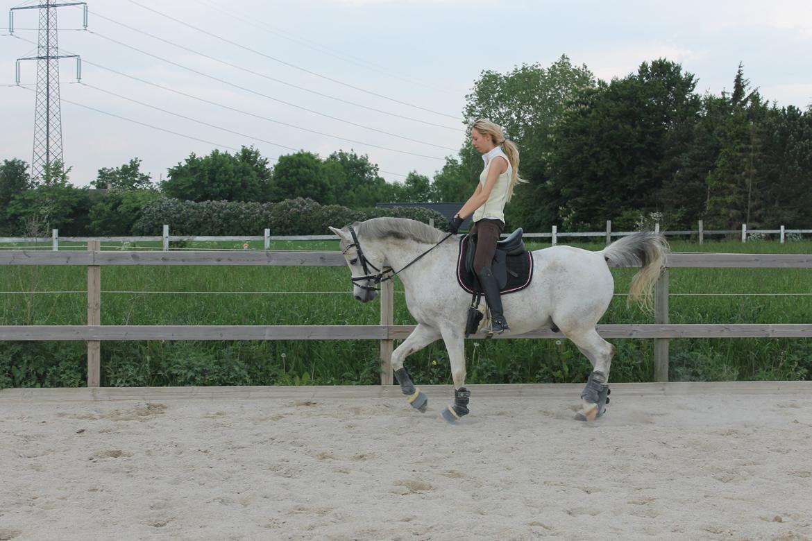 billeder af sibo røv :) billede 9