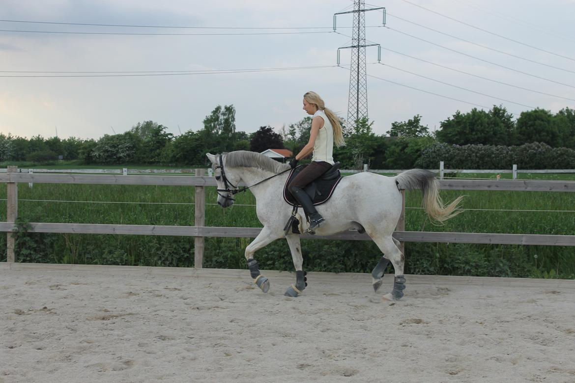 billeder af sibo røv :) billede 10