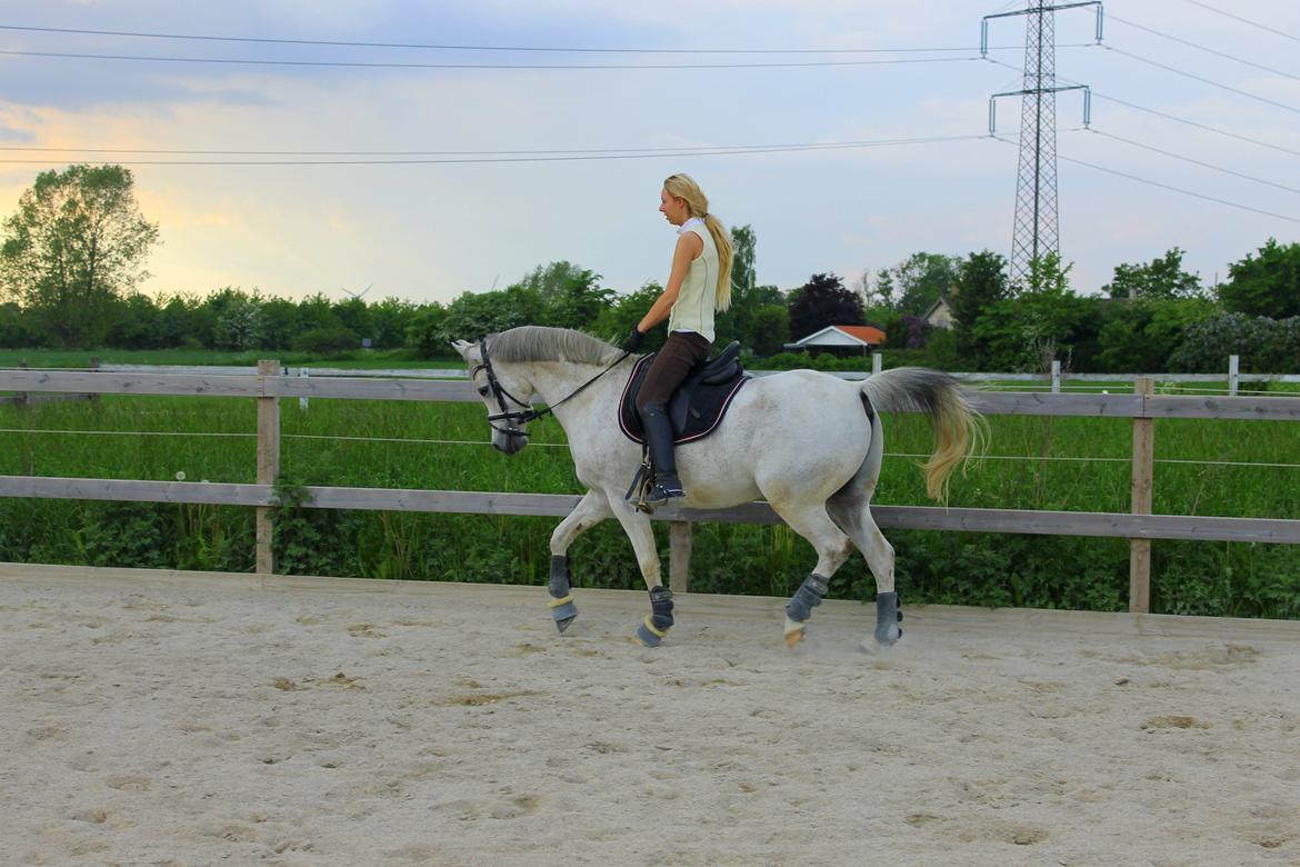 billeder af sibo røv :) billede 11