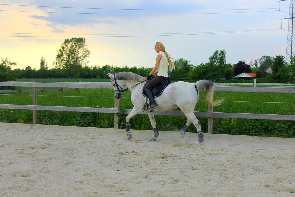 billeder af sibo røv :) billede 12