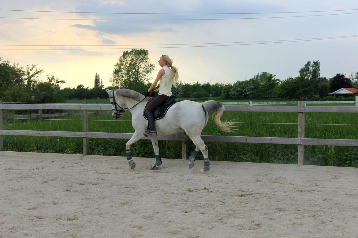 billeder af sibo røv :) billede 13