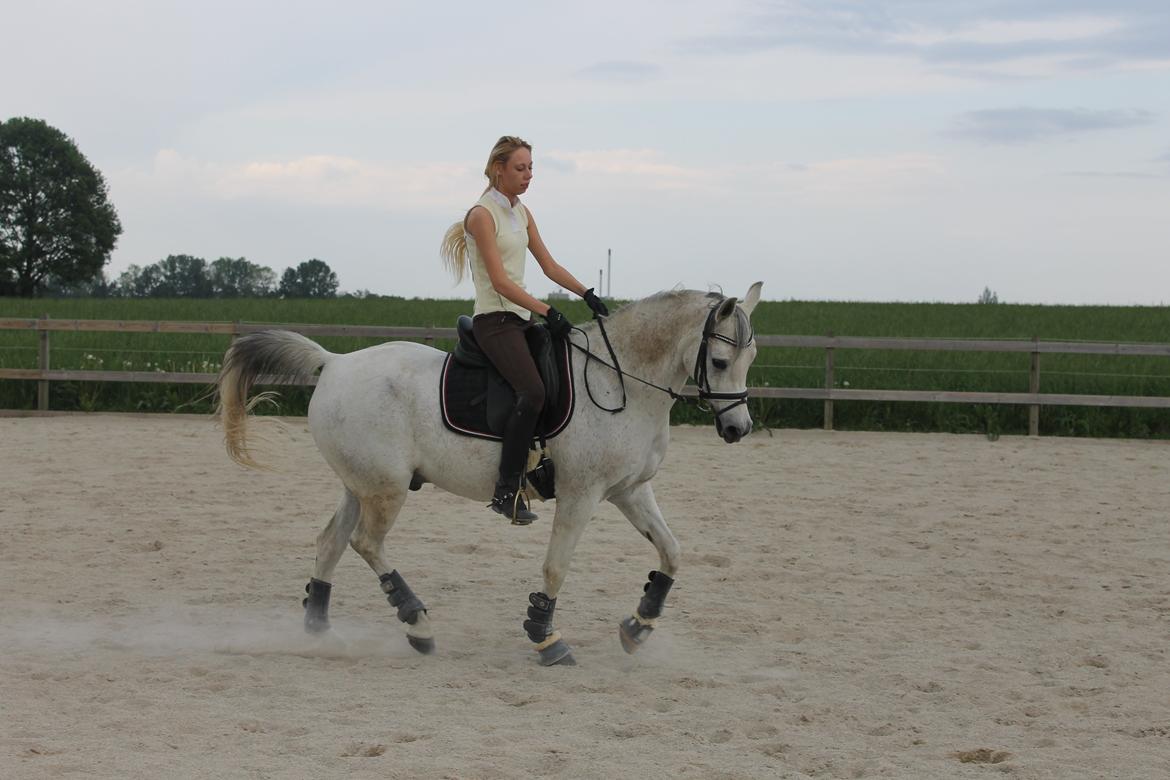 billeder af sibo røv :) billede 14