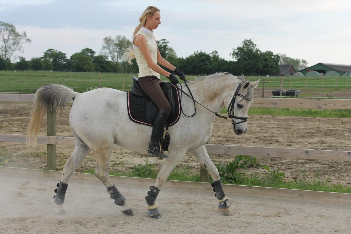 billeder af sibo røv :) billede 15