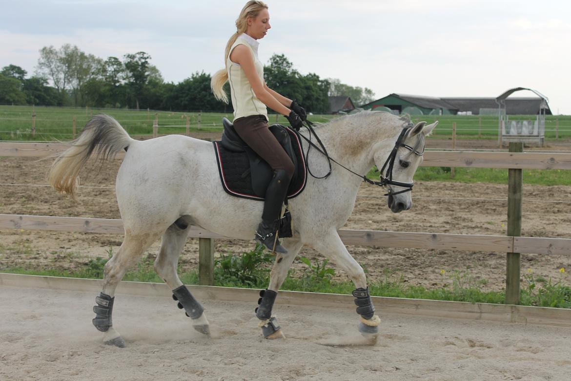 billeder af sibo røv :) billede 16