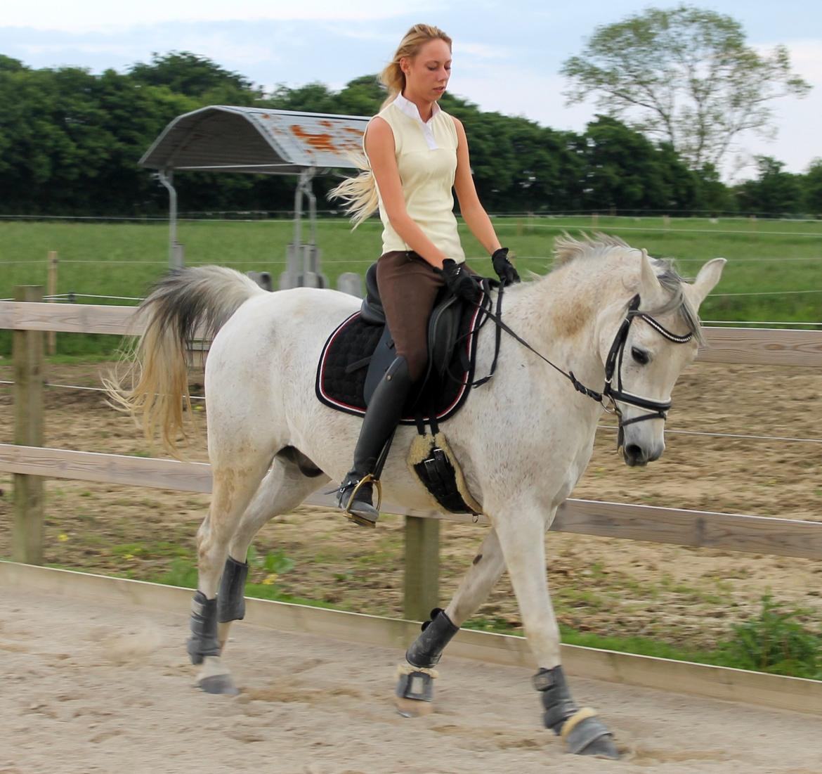 billeder af sibo røv :) billede 17