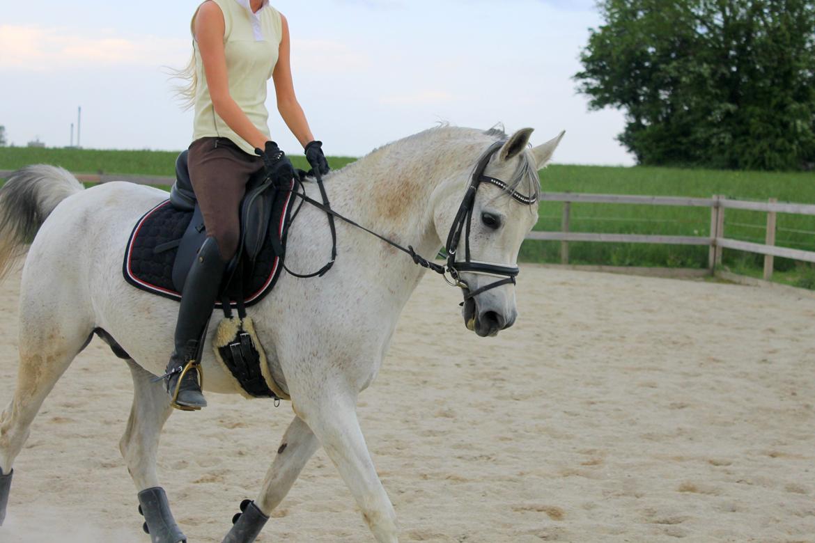 billeder af sibo røv :) billede 18