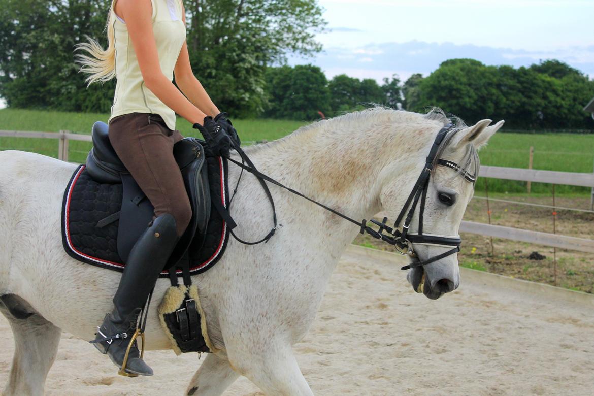 billeder af sibo røv :) billede 19