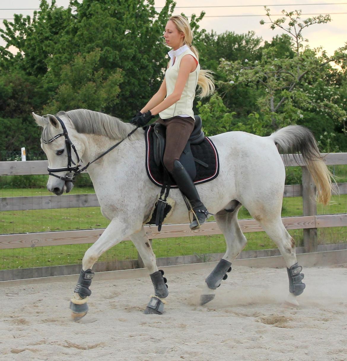 billeder af sibo røv :) billede 20