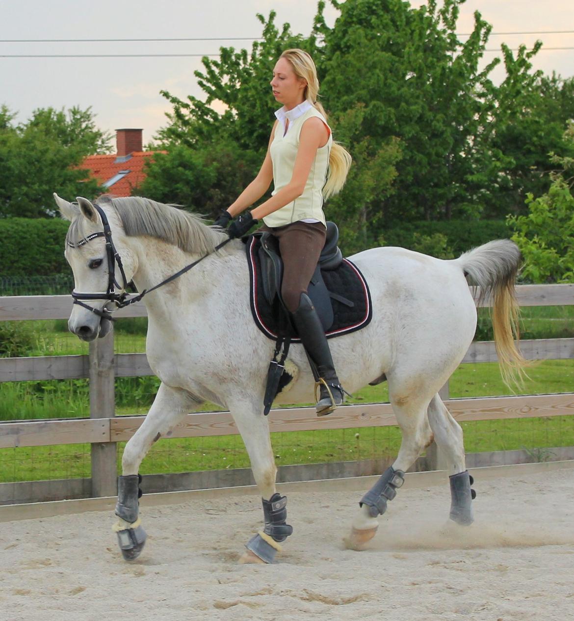 billeder af sibo røv :) billede 21