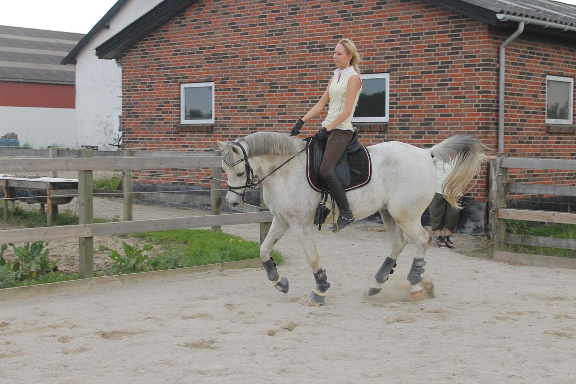 billeder af sibo røv :) billede 22