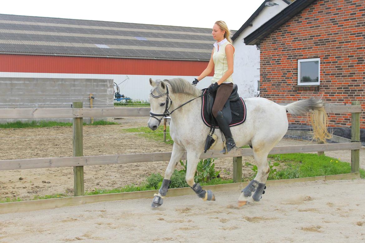 billeder af sibo røv :) billede 23