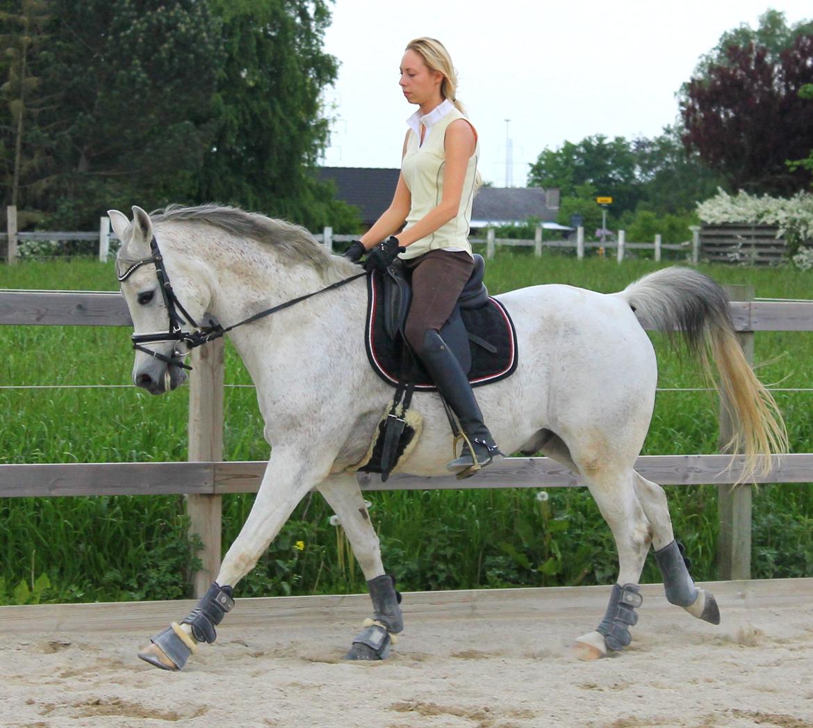 billeder af sibo røv :) billede 24