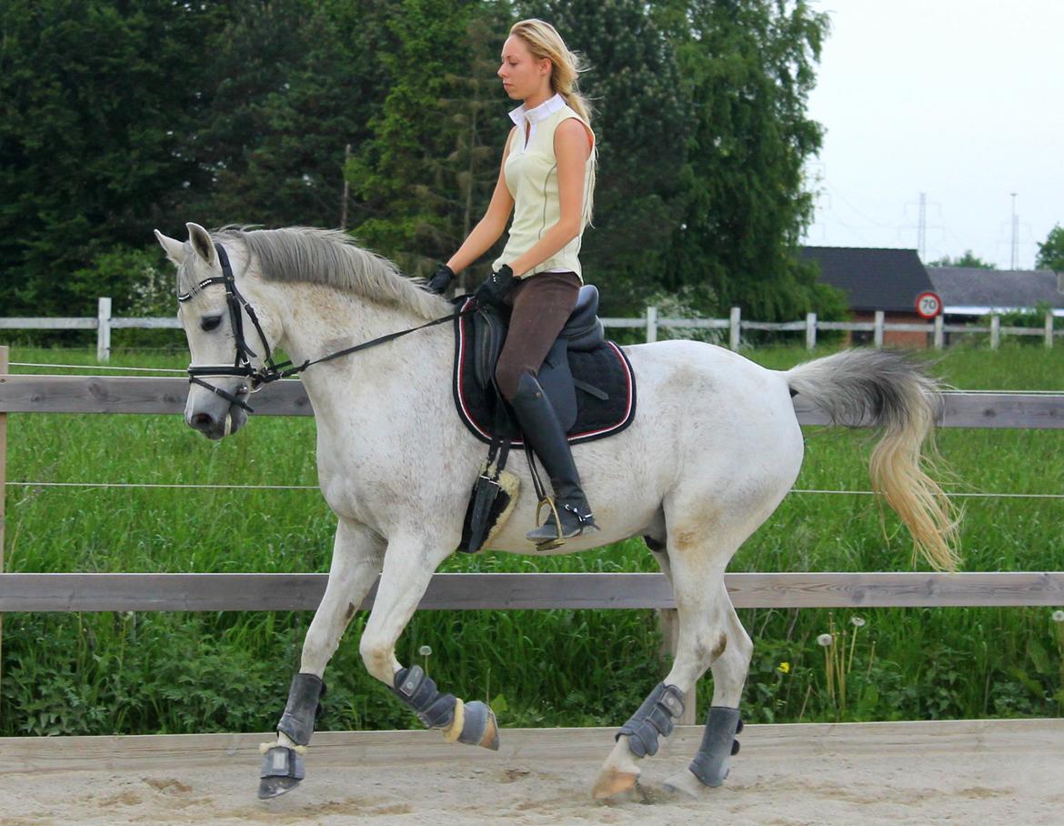 billeder af sibo røv :) billede 25