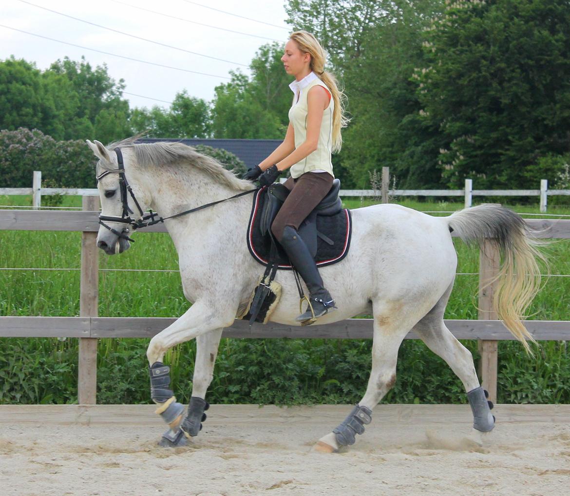 billeder af sibo røv :) billede 26