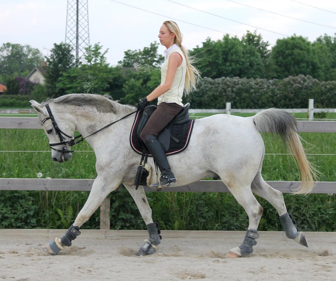 billeder af sibo røv :) billede 27