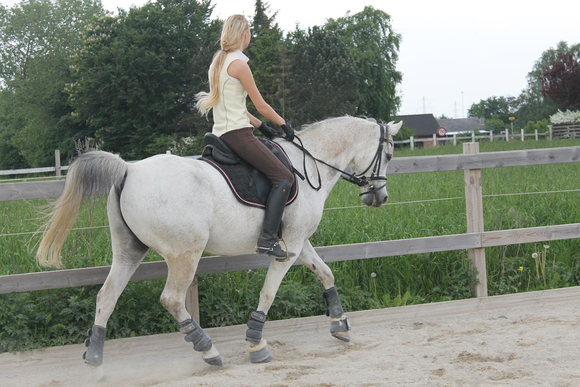 billeder af sibo røv :) billede 28