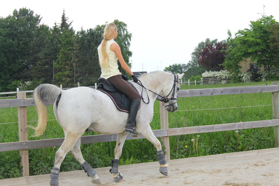 billeder af sibo røv :) billede 29