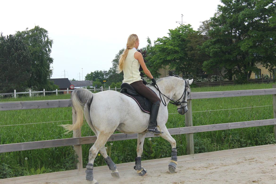 billeder af sibo røv :) billede 30