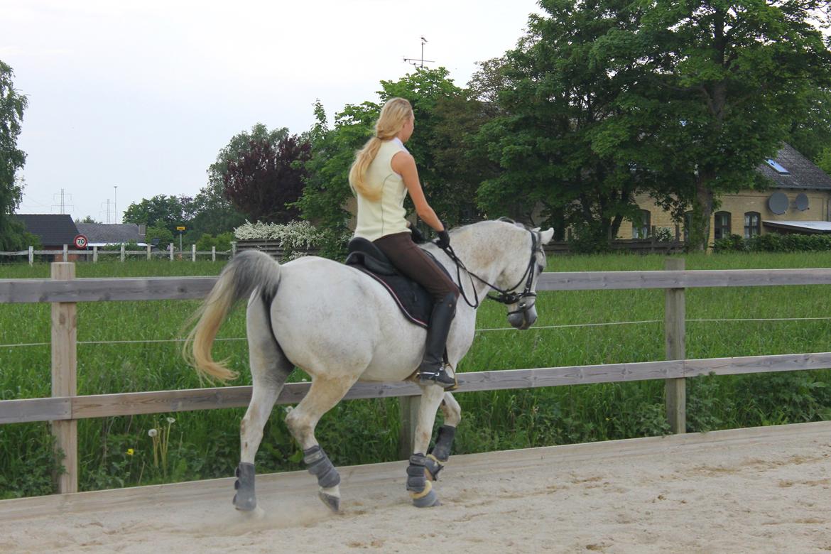 billeder af sibo røv :) billede 31