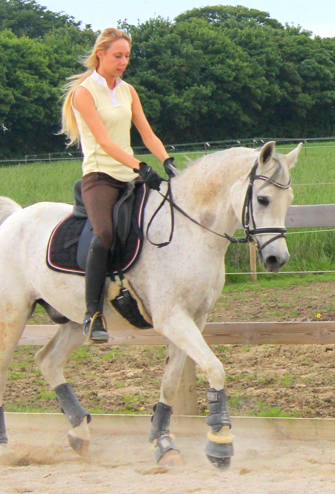 billeder af sibo røv :) billede 32