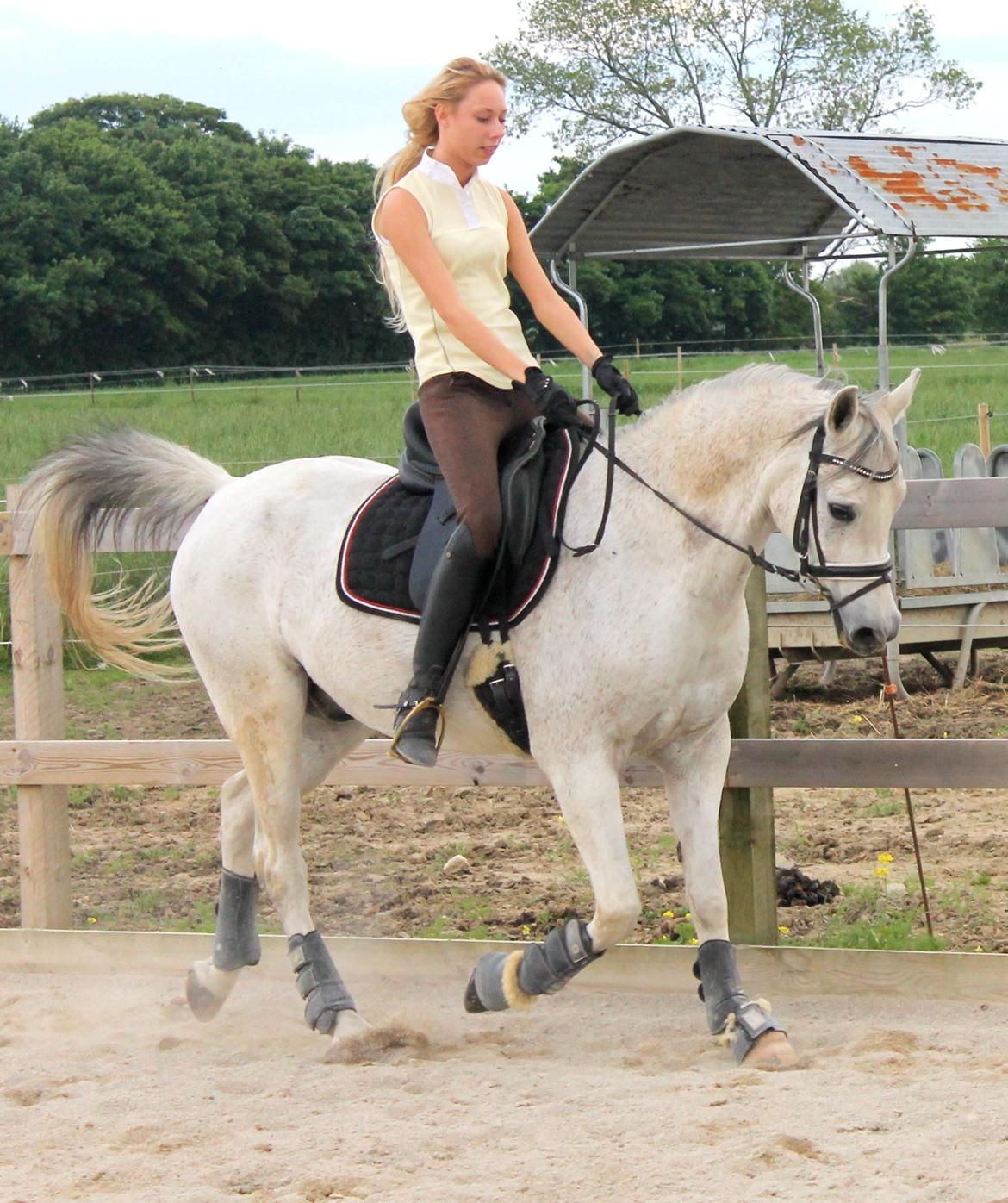 billeder af sibo røv :) billede 33