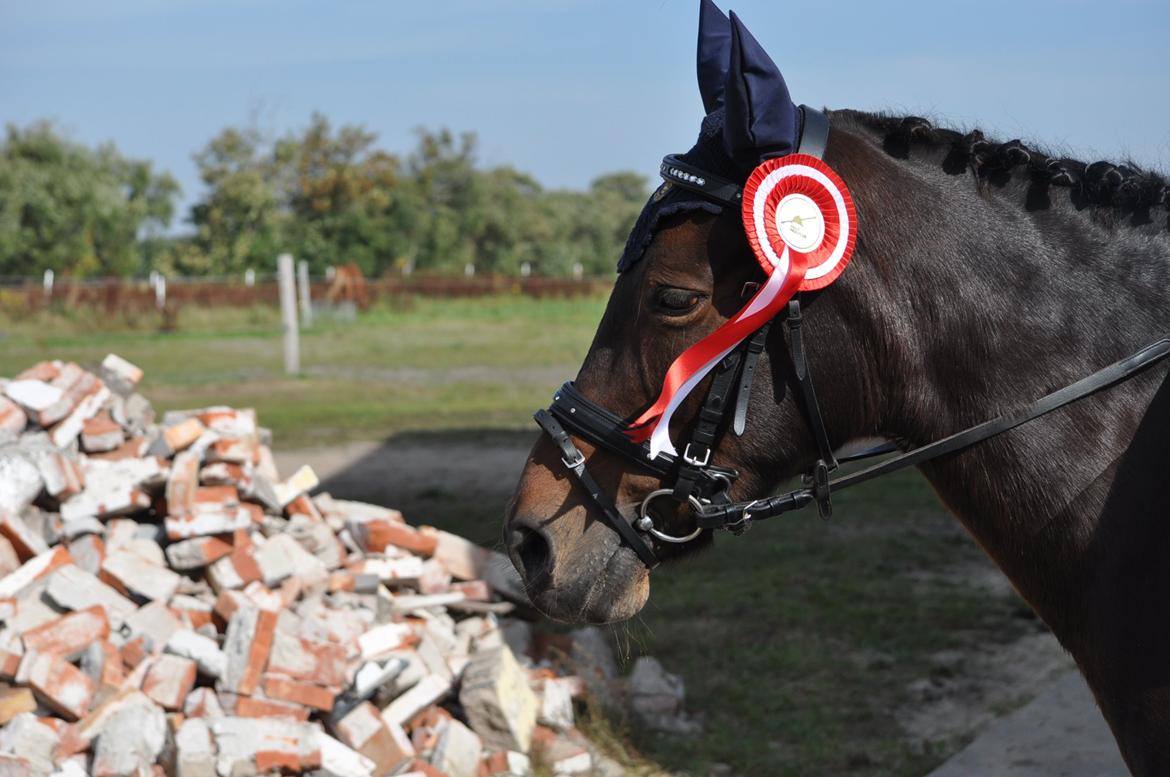 Min dygtige prinsesse Nina billede 2
