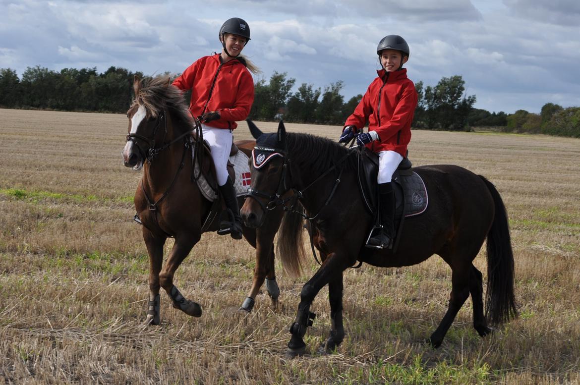 Min dygtige prinsesse Nina billede 3