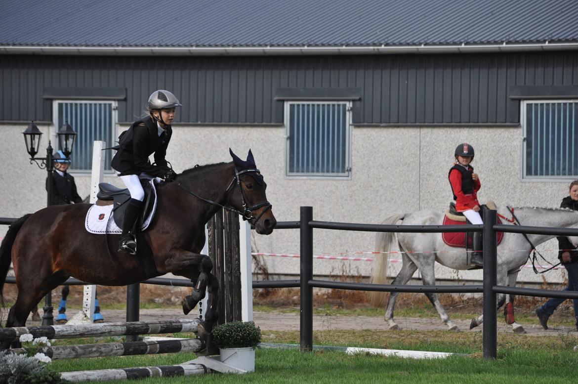 Min dygtige prinsesse Nina billede 4