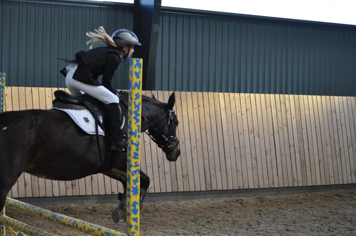 Min dygtige prinsesse Nina billede 5