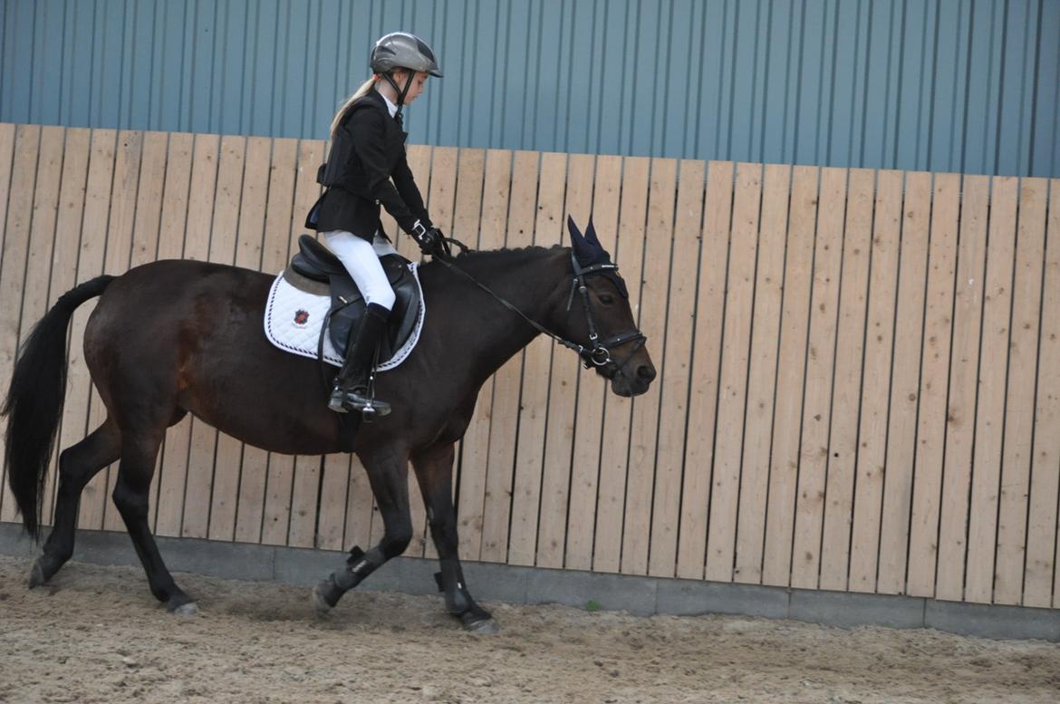 Min dygtige prinsesse Nina billede 6