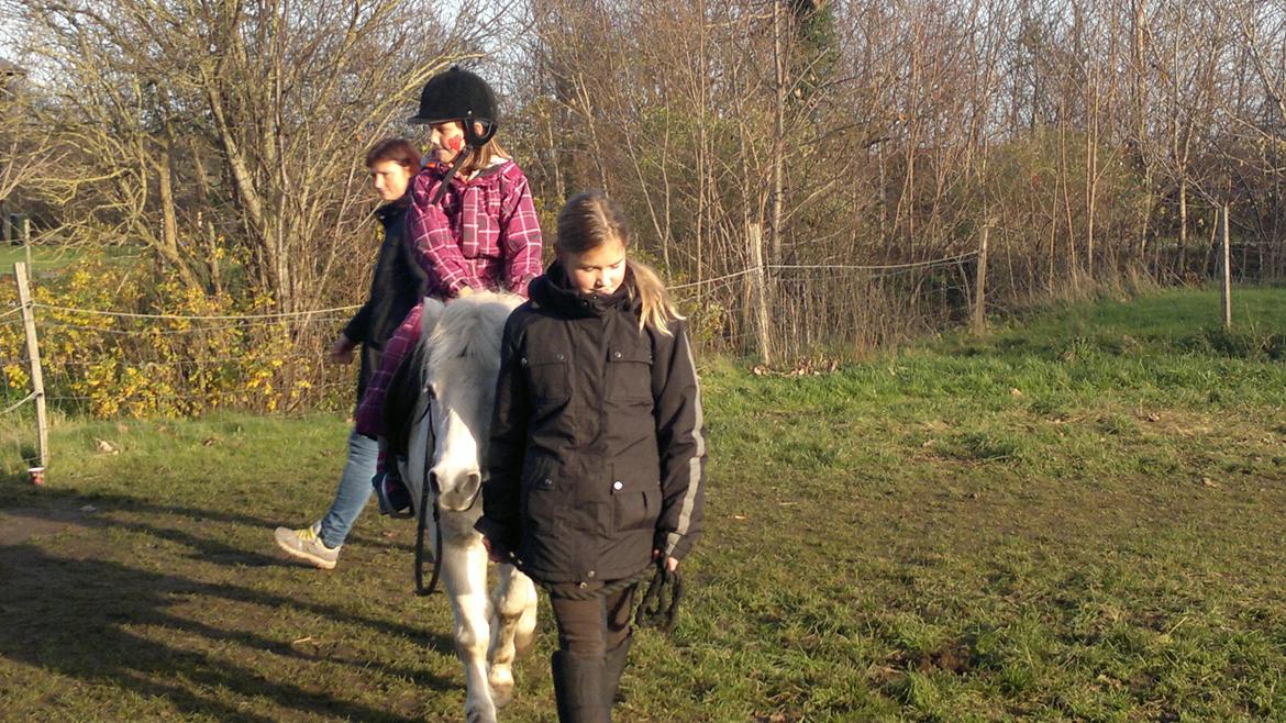 Trække ture til Jule messen på Gram Slot billede 1