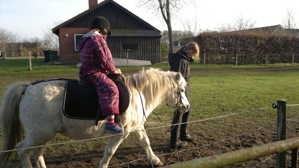 Trække ture til Jule messen på Gram Slot billede 2