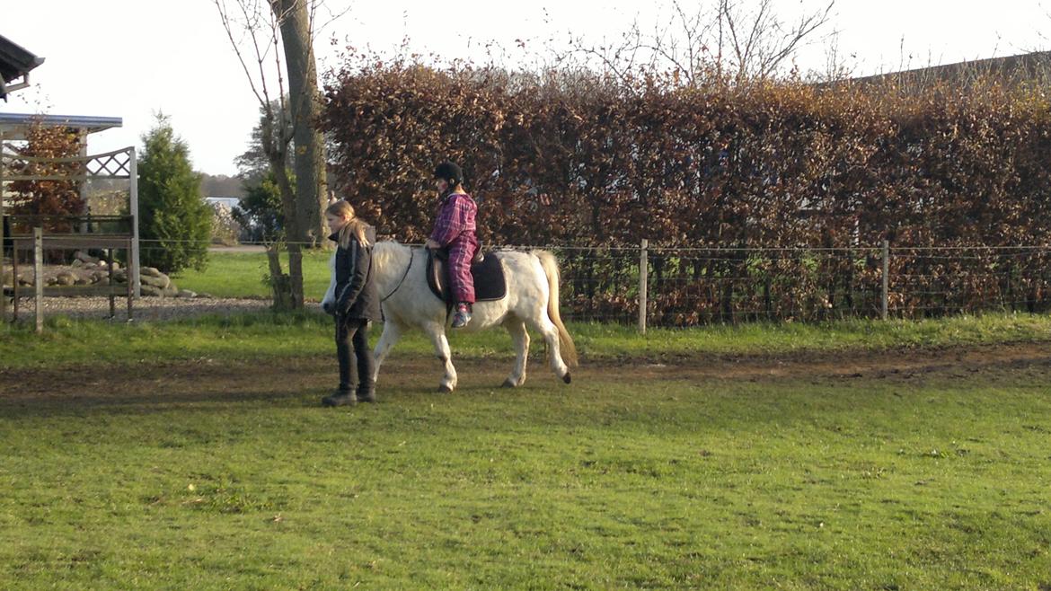 Trække ture til Jule messen på Gram Slot billede 3