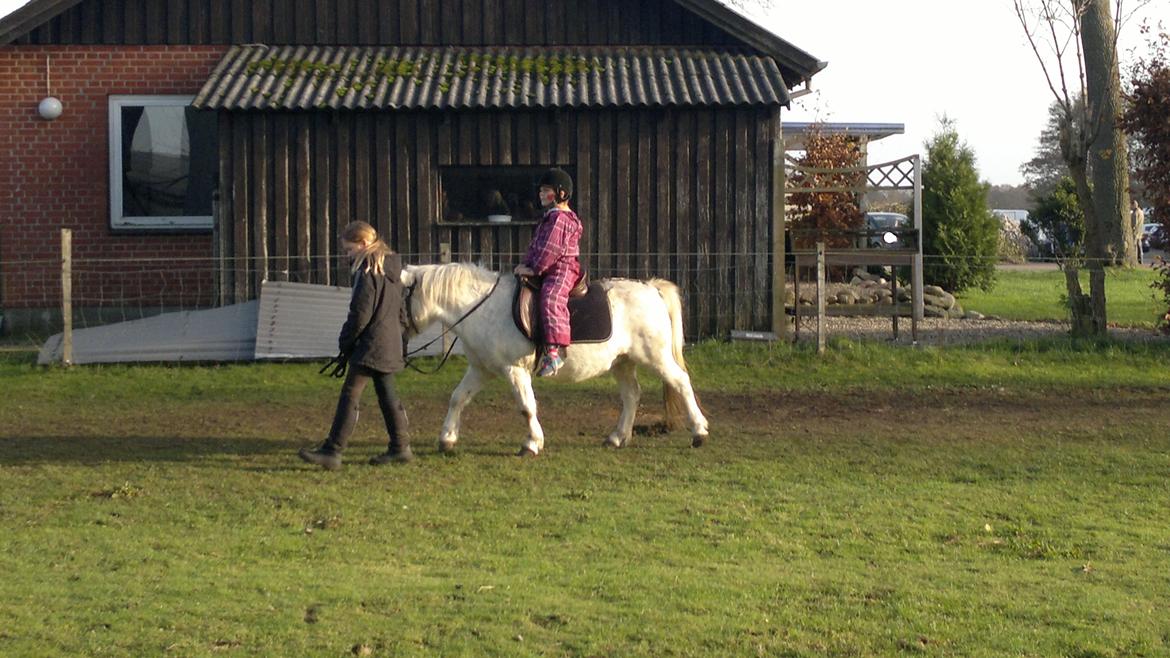 Trække ture til Jule messen på Gram Slot billede 4