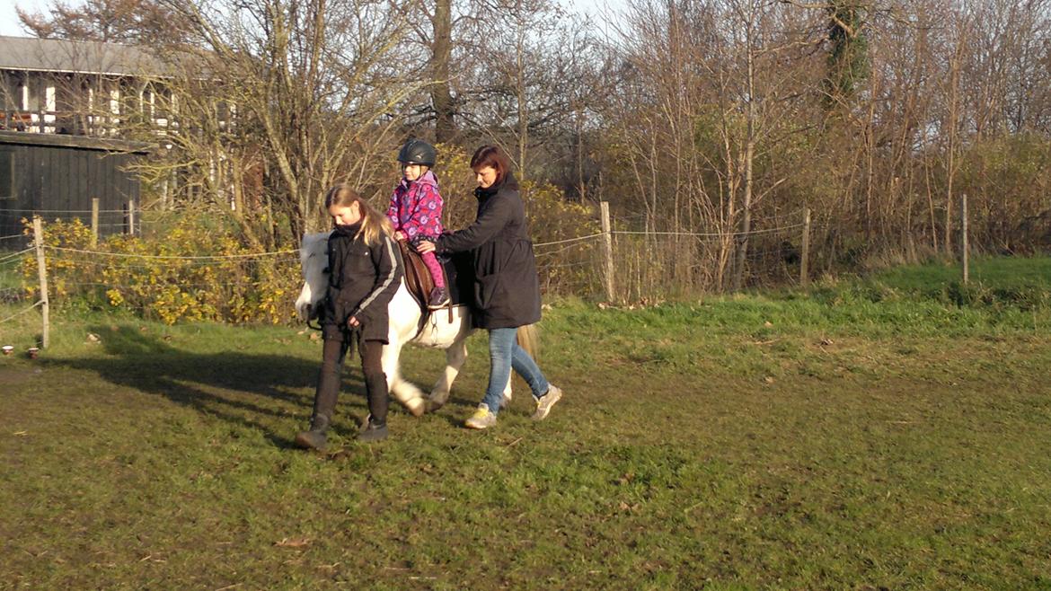 Trække ture til Jule messen på Gram Slot billede 6