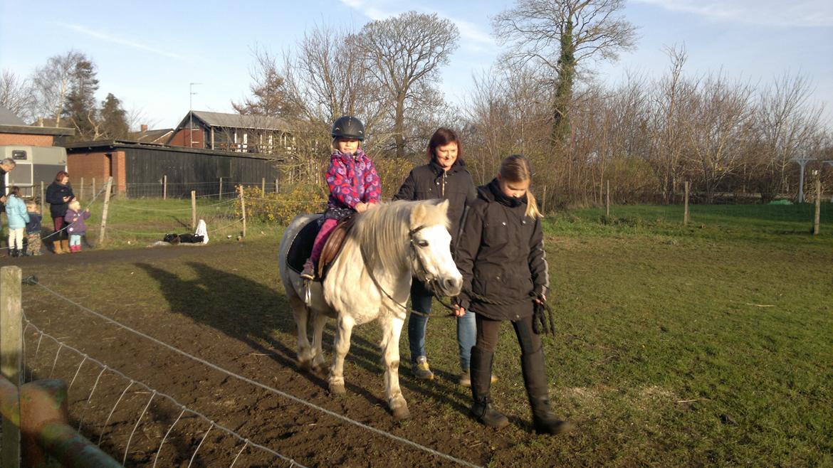 Trække ture til Jule messen på Gram Slot billede 7