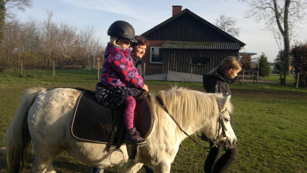 Trække ture til Jule messen på Gram Slot billede 8