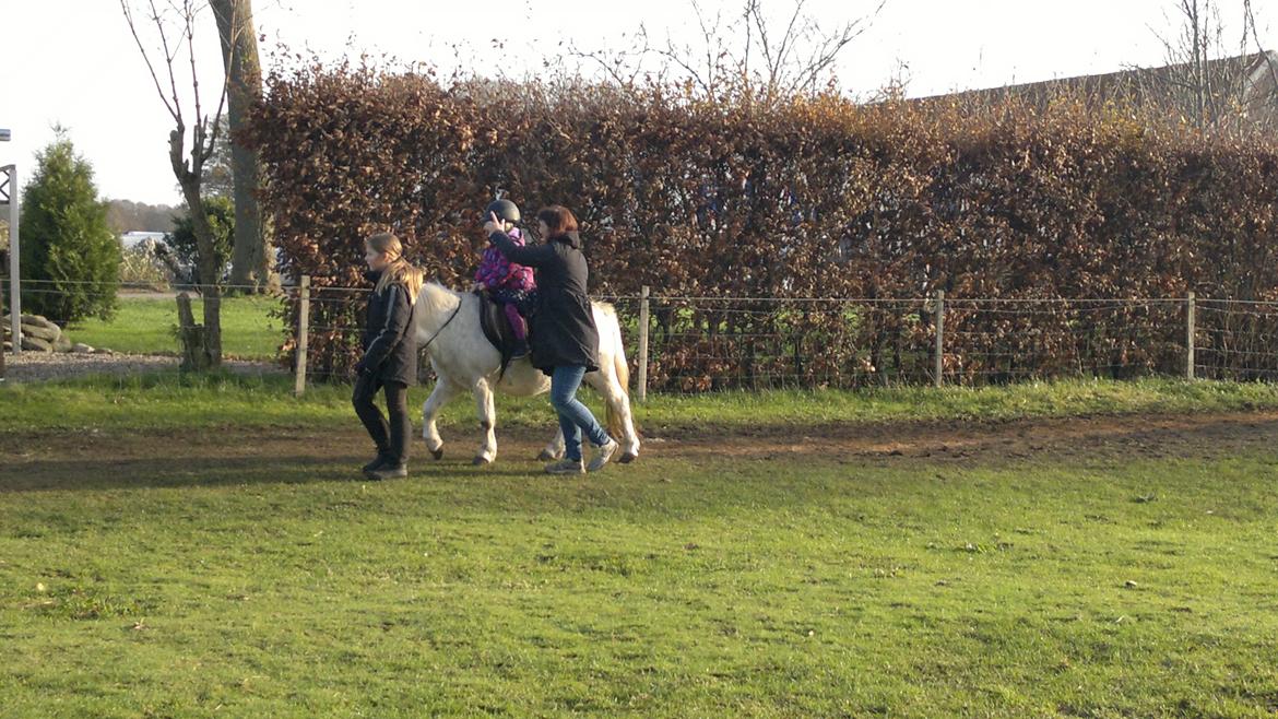 Trække ture til Jule messen på Gram Slot billede 9