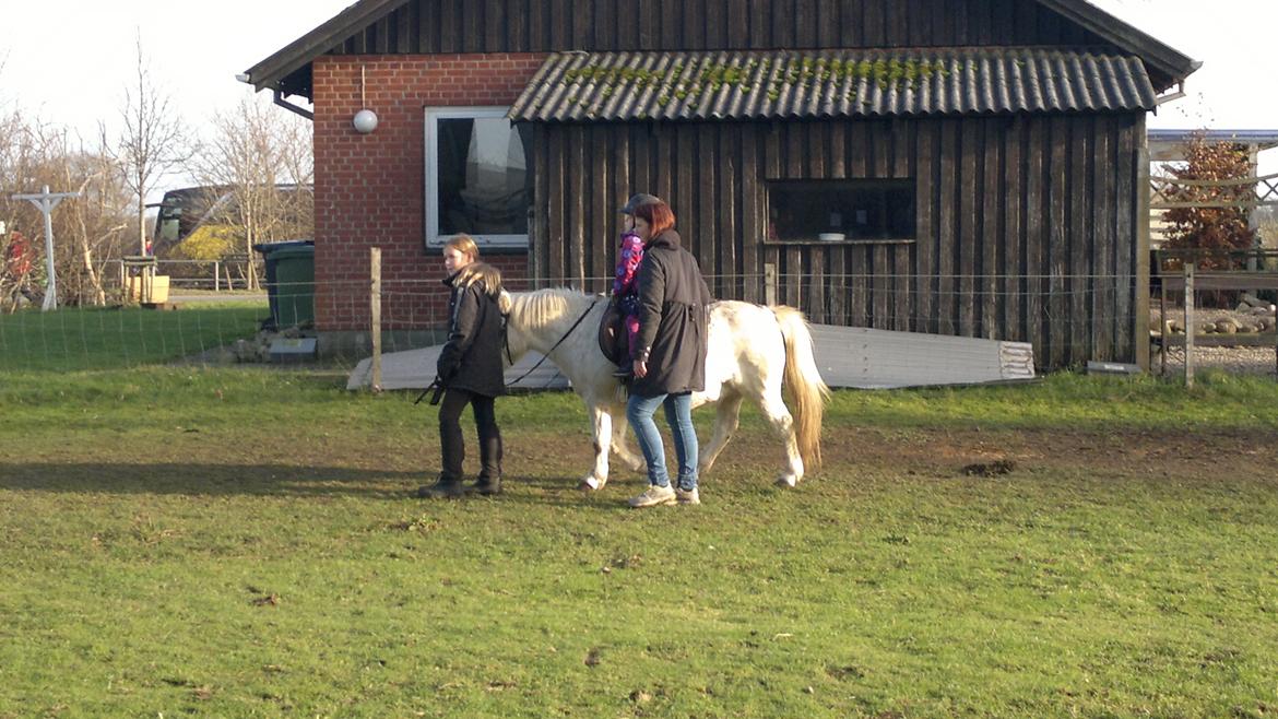 Trække ture til Jule messen på Gram Slot billede 10