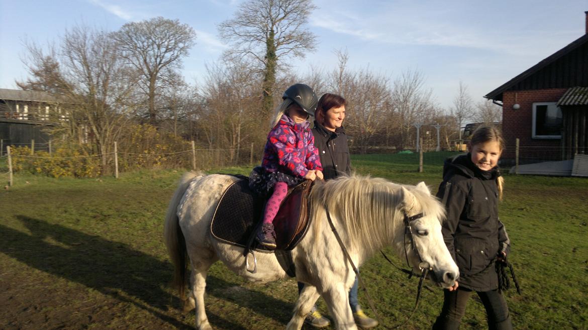 Trække ture til Jule messen på Gram Slot billede 11