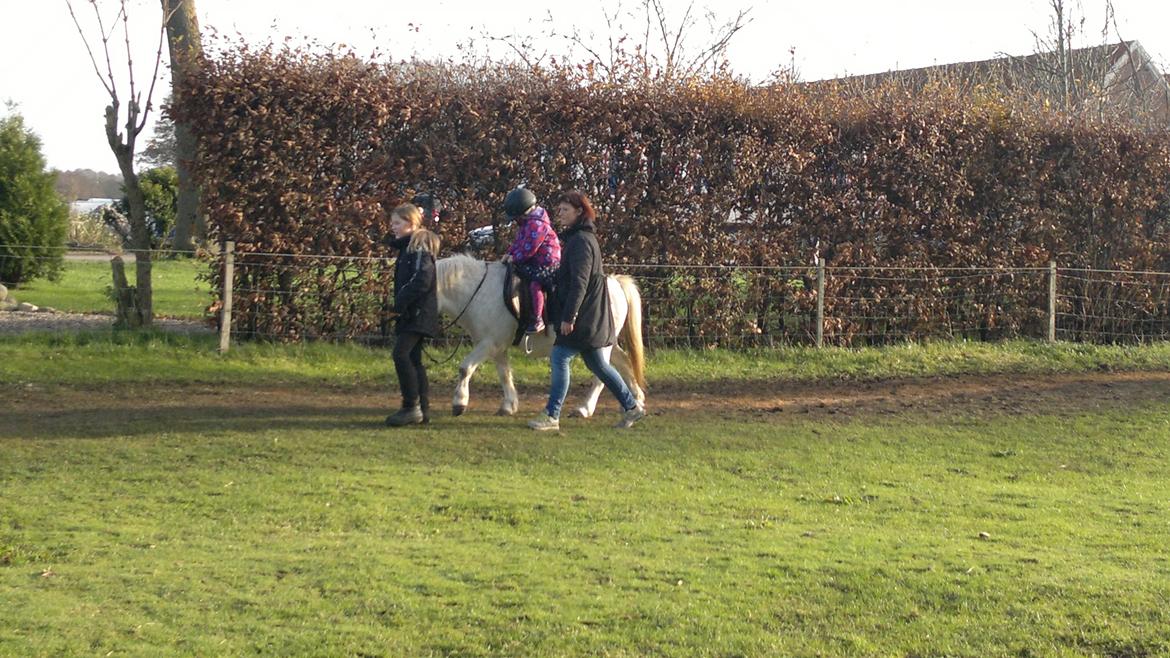 Trække ture til Jule messen på Gram Slot billede 12