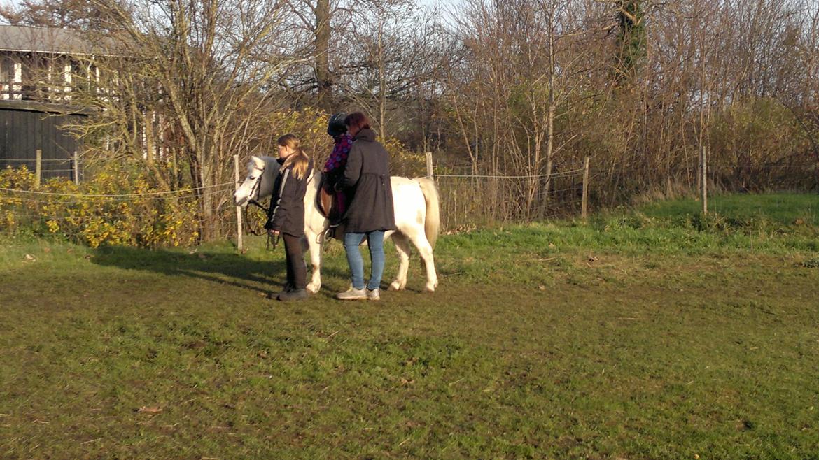 Trække ture til Jule messen på Gram Slot billede 13