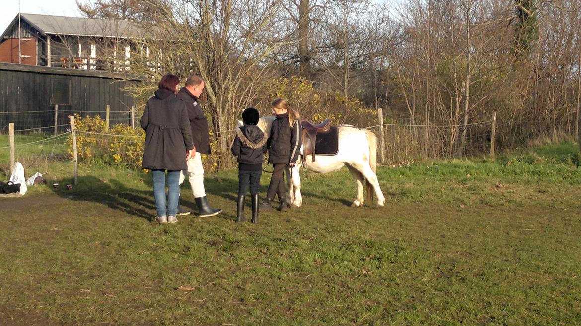 Trække ture til Jule messen på Gram Slot billede 14